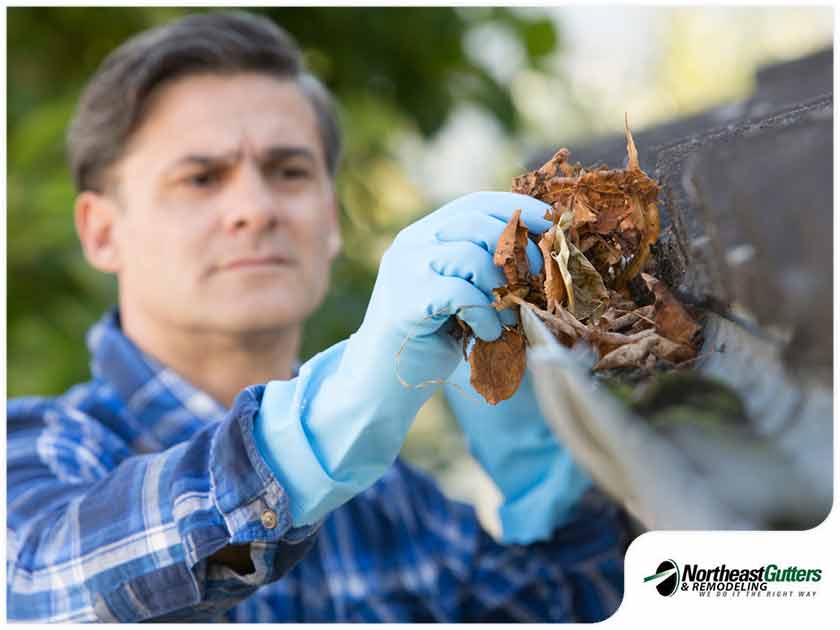 3 Rookie Gutter Cleaning Mistakes to Avoid