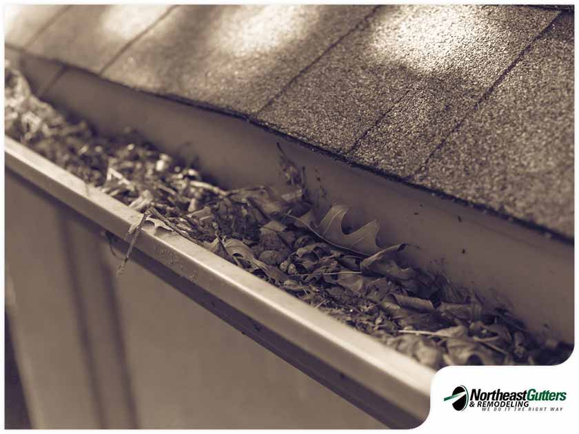 6 Gutter-Cleaning Mistakes That Could Lead to Disaster